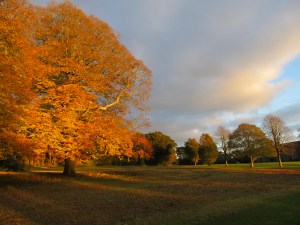 Adare Manor Grounds Ireland