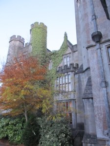 Overgrown Adare by Phil