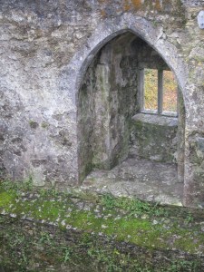Blarney Castle