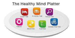 Drdansiegel mind platter