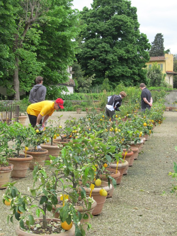 My family at Boboli